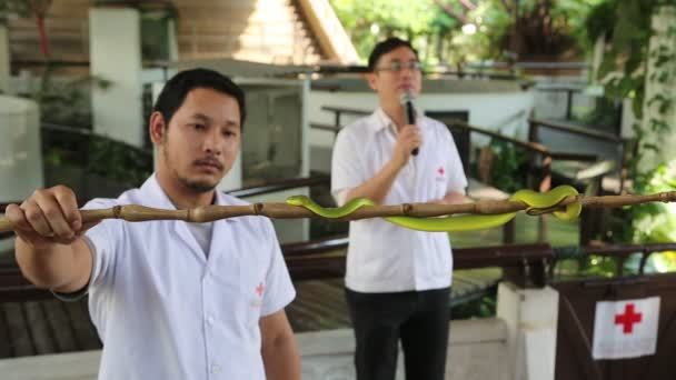 2018年3月22日 展示蛇蛇类展览馆蛇在泰国红十字会 曼谷在一个夏天的日子里 — 图库视频影像