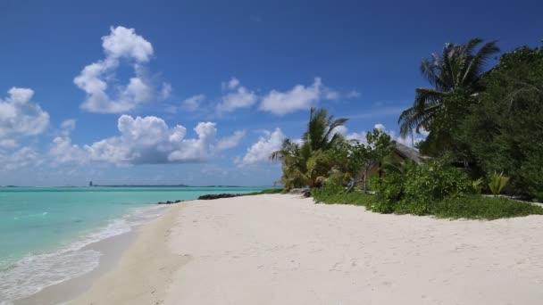 Tropischer Strand Auf Den Malediven Sommertag — Stockvideo