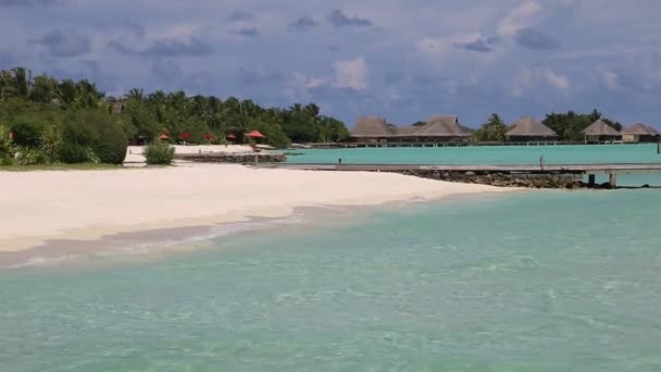 Spiaggia Tropicale Alle Maldive Durante Giornata Estiva — Video Stock