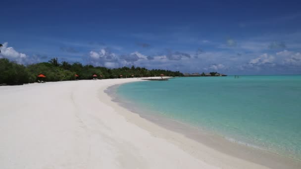 Spiaggia Tropicale Alle Maldive Durante Giornata Estiva — Video Stock