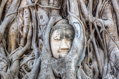 Ayutthaya kafa Buda heykeli ağacında kökleri, Wat Mahathat Tapınağı, bir yaz günü Tayland