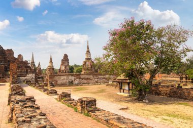 Ayutthaya Historical Park Ayutthaya, Tayland bir yaz günü içinde