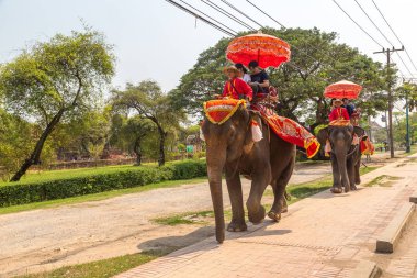 Ayutthaya, Tayland - 22 Mart 2018: bir yaz günü antik kentin Ayutthaya, Tayland bir fil sürme turist