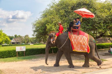Ayutthaya, Tayland - 22 Mart 2018: bir yaz günü antik kentin Ayutthaya, Tayland bir fil sürme turist