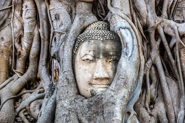 Ayutthaya kafa Buda heykeli ağacında kökleri, Wat Mahathat Tapınağı, bir yaz günü Tayland