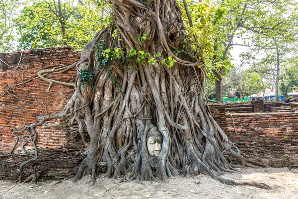 Ayutthaya kafa Buda heykeli ağacında kökleri, Wat Mahathat Tapınağı, bir yaz günü Tayland