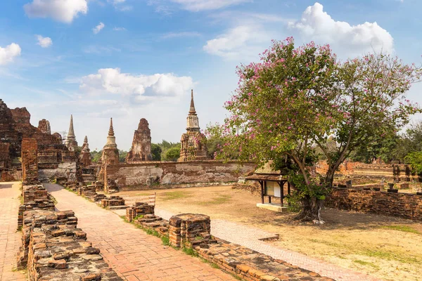 Ayutthaya Historical Park Ayutthaya, Tayland bir yaz günü içinde