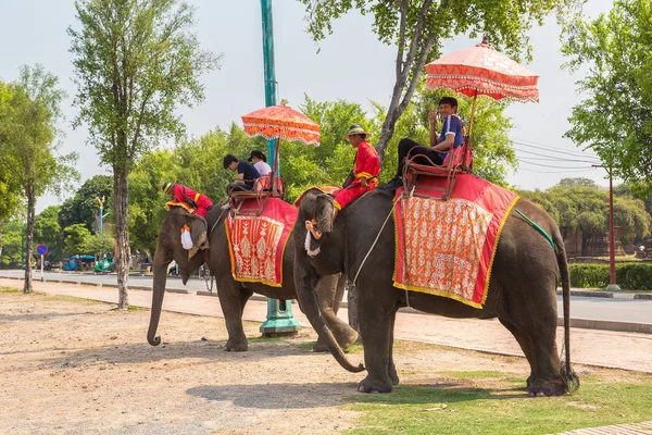 Ayutthaya, Tayland - 22 Mart 2018: bir yaz günü antik kentin Ayutthaya, Tayland bir fil sürme turist