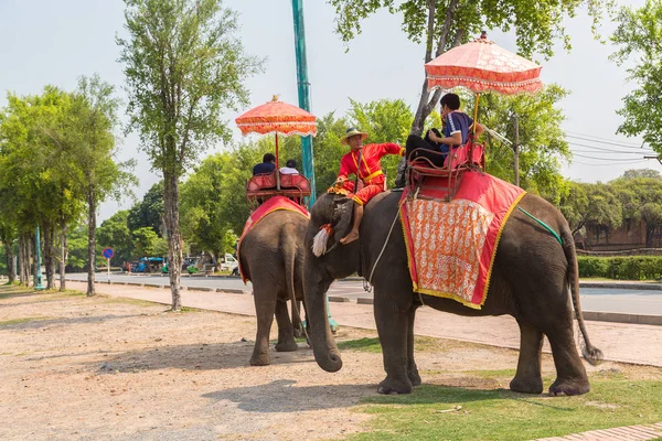 Ayutthaya, Tayland - 22 Mart 2018: bir yaz günü antik kentin Ayutthaya, Tayland bir fil sürme turist