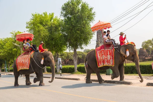 Ayutthaya, Tayland - 22 Mart 2018: bir yaz günü antik kentin Ayutthaya, Tayland bir fil sürme turist