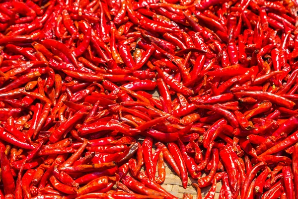 Bangkok, Tayland için sebze piyasasında bir yaz günü kırmızı biber arka plan