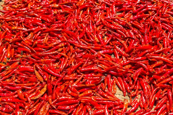 Bangkok, Tayland için sebze piyasasında bir yaz günü kırmızı biber arka plan