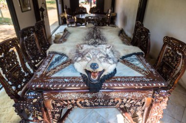 Chiang Rai, Tayland - 29 Mart 2018: Kurt cilt Baan Barajı Müzesi (siyah tapınak) Chiang Rai, Tayland bir yaz günü'nde bir masada