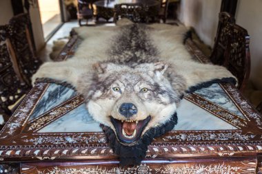 Chiang Rai, Tayland - 29 Mart 2018: Kurt cilt Baan Barajı Müzesi (siyah tapınak) Chiang Rai, Tayland bir yaz günü'nde bir masada