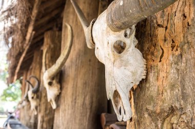 Chiang Rai, Tayland - 29 Mart 2018: Chiang Rai, Tayland bir yaz günü Baan Barajı Müzesi (siyah tapınak)