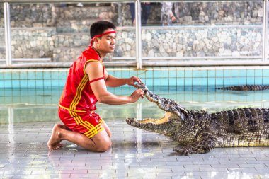 Pattaya, Tayland - 29 Mart 2018: Timsah gösterisinde bir yaz günü Pattaya, Tayland