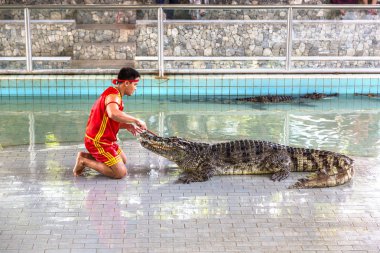 Pattaya, Tayland - 29 Mart 2018: Timsah gösterisinde bir yaz günü Pattaya, Tayland