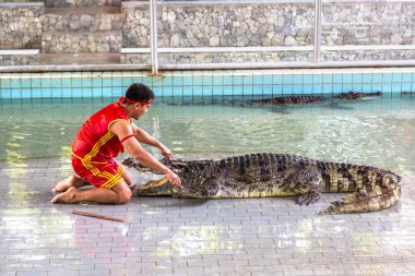 Pattaya, Tayland - 29 Mart 2018: Timsah gösterisinde bir yaz günü Pattaya, Tayland