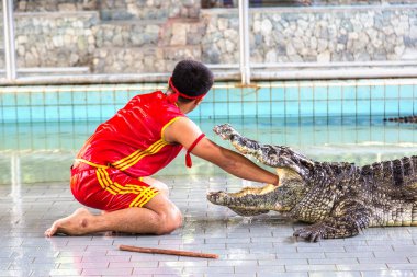 Timsah Pattaya, Tayland bir yaz günü gösterir.