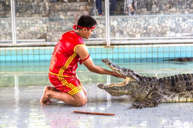 Pattaya, Tayland - 29 Mart 2018: Timsah gösterisinde bir yaz günü Pattaya, Tayland