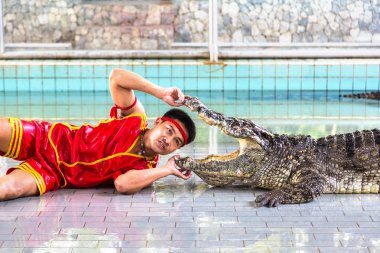 Pattaya, Tayland - 29 Mart 2018: Timsah gösterisinde bir yaz günü Pattaya, Tayland