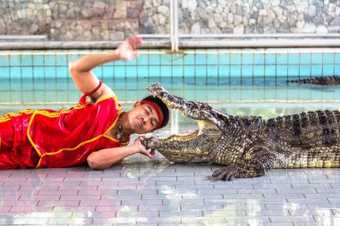 Pattaya, Tayland - 29 Mart 2018: Timsah gösterisinde bir yaz günü Pattaya, Tayland