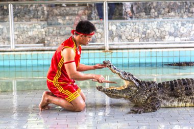 Pattaya, Tayland - 29 Mart 2018: Timsah gösterisinde bir yaz günü Pattaya, Tayland