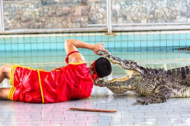 Timsah Pattaya, Tayland bir yaz günü gösterir.