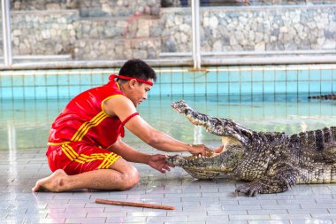 Pattaya, Tayland - 29 Mart 2018: Timsah gösterisinde bir yaz günü Pattaya, Tayland