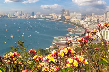 Pattaya Körfezi, Tayland 'da yaz günü panoramik hava manzarası