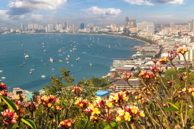 Pattaya Körfezi, Tayland 'da yaz günü panoramik hava manzarası