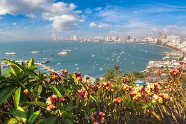 Pattaya Körfezi, Tayland 'da yaz günü panoramik hava manzarası