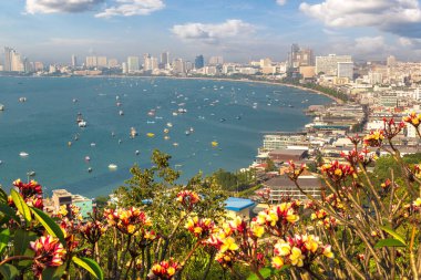 Pattaya Körfezi, Tayland 'da yaz günü panoramik hava manzarası