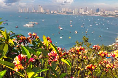 Pattaya Körfezi, Tayland 'da yaz günü panoramik hava manzarası