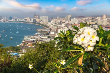 Pattaya Körfezi, Tayland 'da yaz günü panoramik hava manzarası