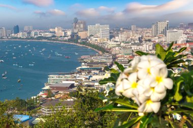 Pattaya Körfezi, Tayland 'da yaz günü panoramik hava manzarası