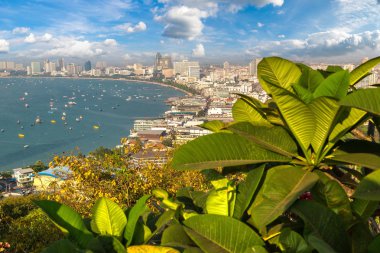 Pattaya Körfezi, Tayland 'da yaz günü panoramik hava manzarası