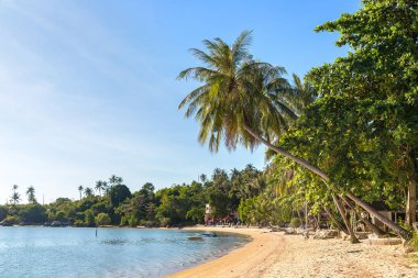Beach Koh Samui Adası, Tayland bir yaz günü
