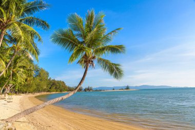 Beach Koh Samui Adası, Tayland bir yaz günü