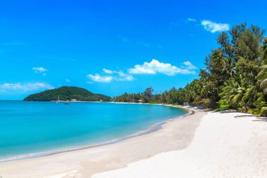 Koh Samui Adası, Tayland bir yaz günü palmiye ağaçları ile tropikal plaj