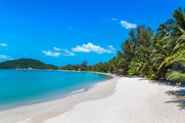 Koh Samui Adası, Tayland bir yaz günü palmiye ağaçları ile tropikal plaj