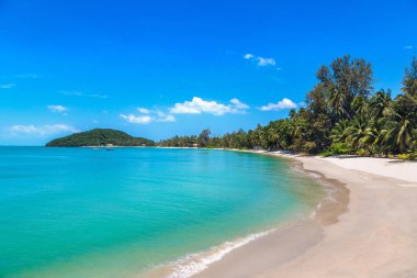 Koh Samui Adası, Tayland bir yaz günü palmiye ağaçları ile tropikal plaj