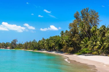 Koh Samui Adası, Tayland bir yaz günü palmiye ağaçları ile tropikal plaj