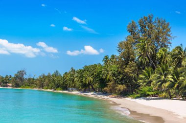 Koh Samui Adası, Tayland bir yaz günü palmiye ağaçları ile tropikal plaj
