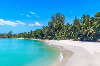 Koh Samui Adası, Tayland bir yaz günü palmiye ağaçları ile tropikal plaj