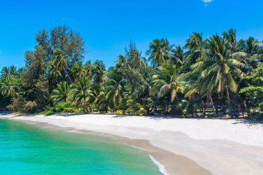 Koh Samui Adası, Tayland bir yaz günü palmiye ağaçları ile tropikal plaj