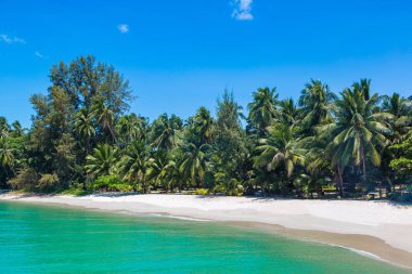 Koh Samui Adası, Tayland bir yaz günü palmiye ağaçları ile tropikal plaj