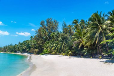 Koh Samui Adası, Tayland bir yaz günü palmiye ağaçları ile tropikal plaj