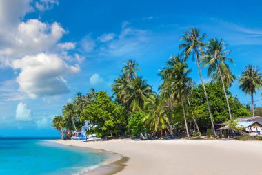 Koh Samui Adası, Tayland bir yaz günü palmiye ağaçları ile tropikal plaj