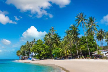 Koh Samui Adası, Tayland bir yaz günü palmiye ağaçları ile tropikal plaj